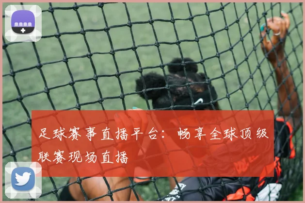 足球赛事直播平台：畅享全球顶级联赛现场直播