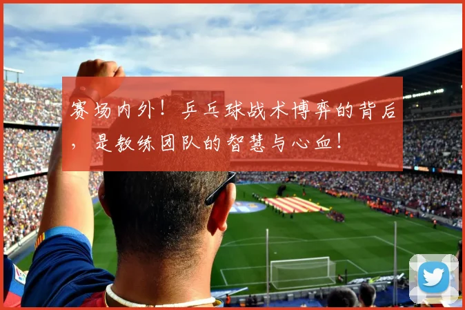 赛场内外！乒乓球战术博弈的背后，是教练团队的智慧与心血！
