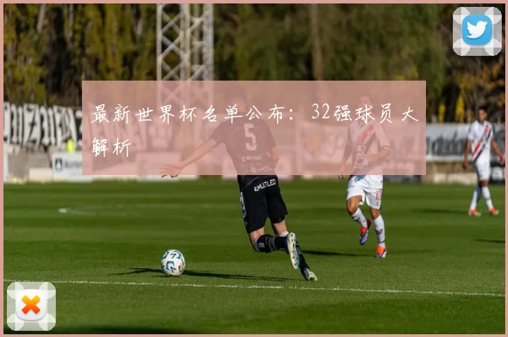 最新世界杯名单公布:32强球员大解析
