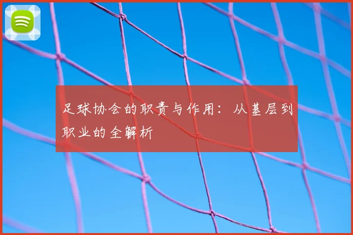 足球协会的职责与作用:从基层到职业的全解析
