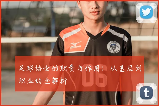足球协会的职责与作用:从基层到职业的全解析